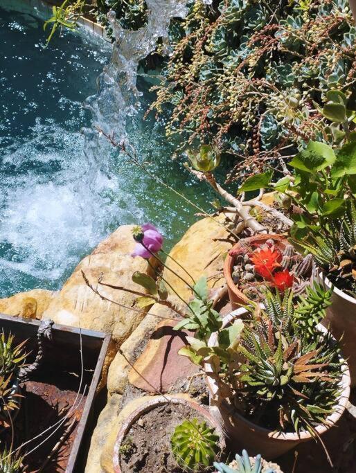 Eagles Eyrie- Camps Bay Apartment
